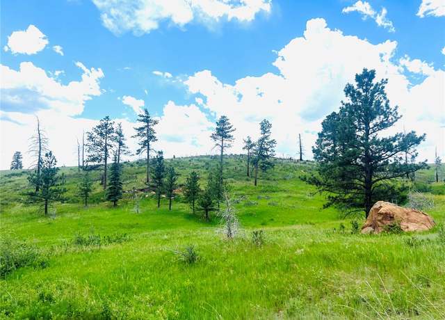 Property at 1756 Eiger Rd, Livermore, CO 80536