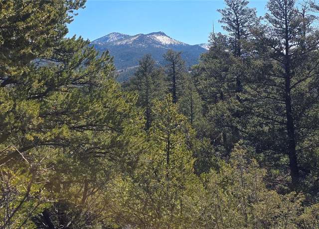 Property at 7832 Mallot Rd, Fort Garland, CO 81133