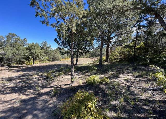 Property at 1806 Corral North Rd, Texas Creek, CO 81223