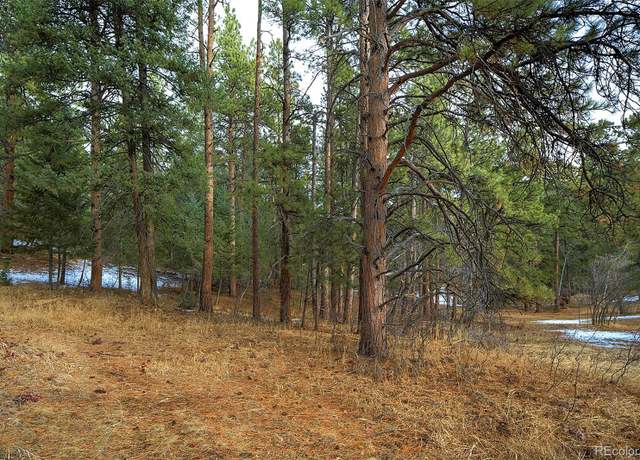 Property at 19497 Hill Dr, Morrison, CO 80465