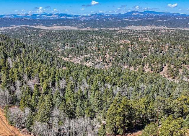 Property at 189 Viewcrest Way, Florissant, CO 80816