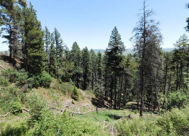 Property at 13520 Woodmoor West Dr, Larkspur, CO 80118