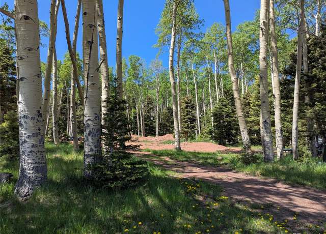 Property at 3082 Henderson Dr, Fort Garland, CO 81133
