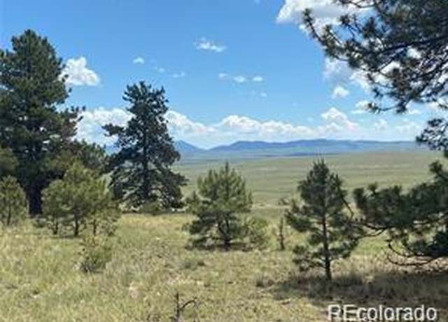 Property at 252 Angus Cir, Hartsel, CO 80449