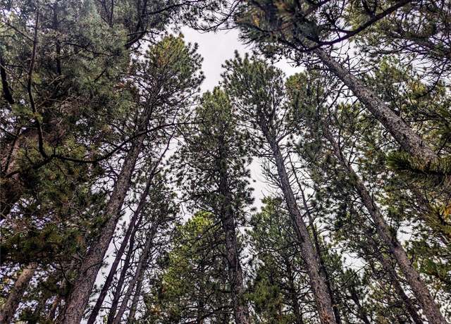 Property at Lot 3190 Zipf Ln, Fort Garland, CO 81133