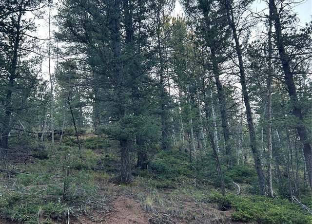 Property at 83 Sodalite Rd, Divide, CO 80814