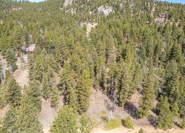 Property at 449 Forest Dr, Bailey, CO 80421