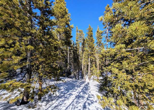 Property at Lot 234 Alice Rd, Idaho Springs, CO 80453