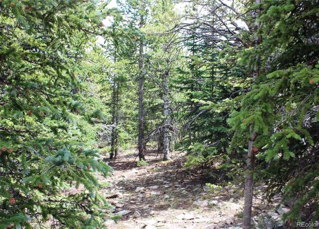 Property at 5285 Lucy Agnes, Black Hawk, CO 80422