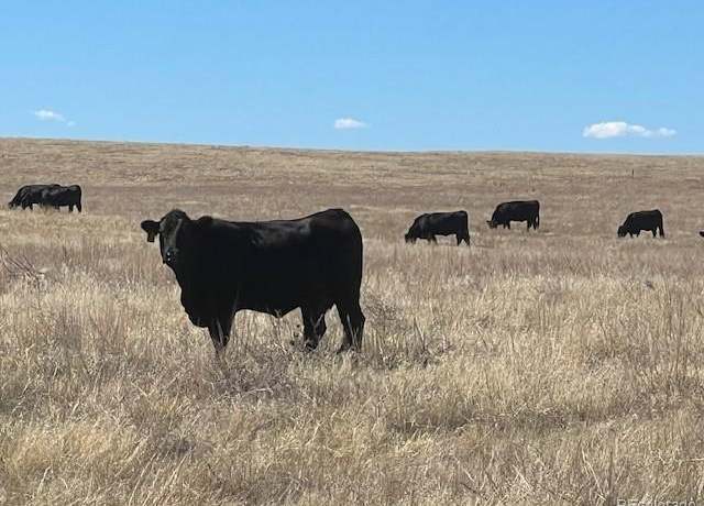 Property at Tbd County Road 194, Elbert, CO 80107