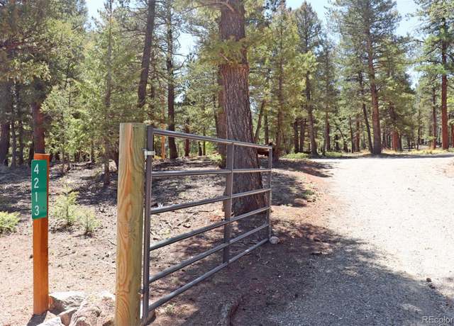 Property at 4213 Campfire Rd, Hartsel, CO 80449