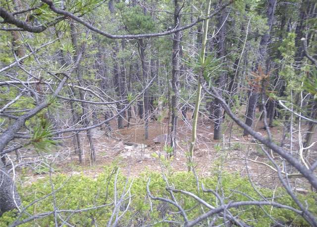 Property at Lot #441 Hillside Rd, Idaho Springs, CO 80452