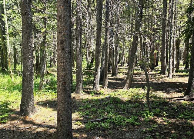 Property at Deer, Idaho Springs, CO 80444