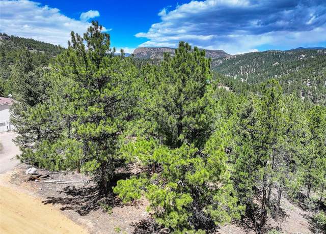 Property at 456 Lo Meadow Ln, Bailey, CO 80421
