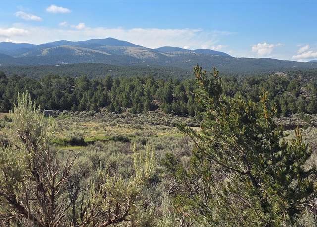 Property at Lot 4296 Renfield Rd, Fort Garland, CO 81133