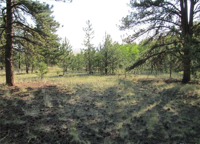 Property at 9736 Ranch Rd, Hartsel, CO 80449