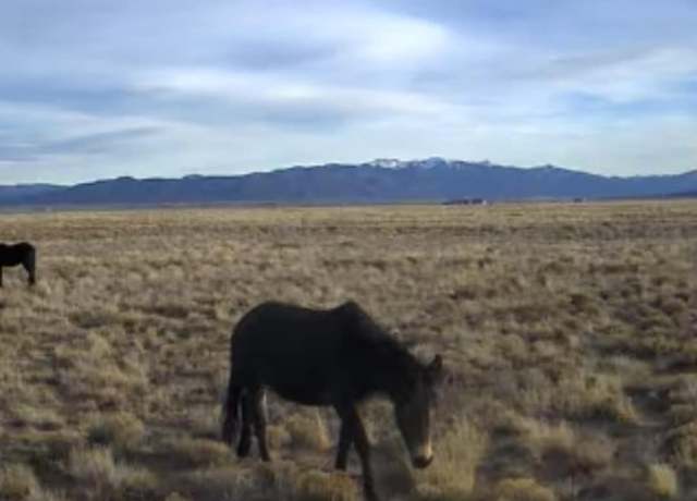 Property at 00 Acoma Trl, San Luis, CO 81152