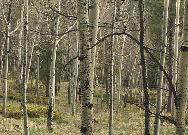 Property at 001 Bonus Gulch Way, Jefferson, CO 80456