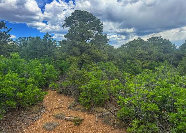Property at 106 Colorado Land & Grazing, Walsenburg, CO 81089