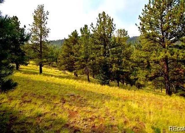 Property at 123 Isabel Claim, Cripple Creek, CO 80813