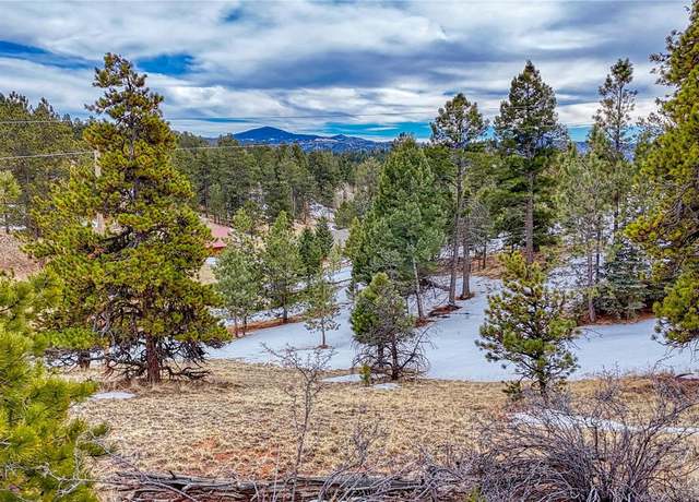 Property at 54 Southgate Rd, Florissant, CO 80816