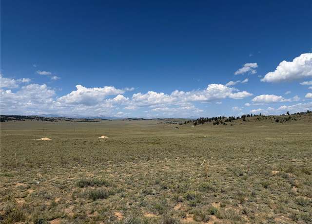 Property at 0005 Coyotero Trl, Hartsel, CO 80449