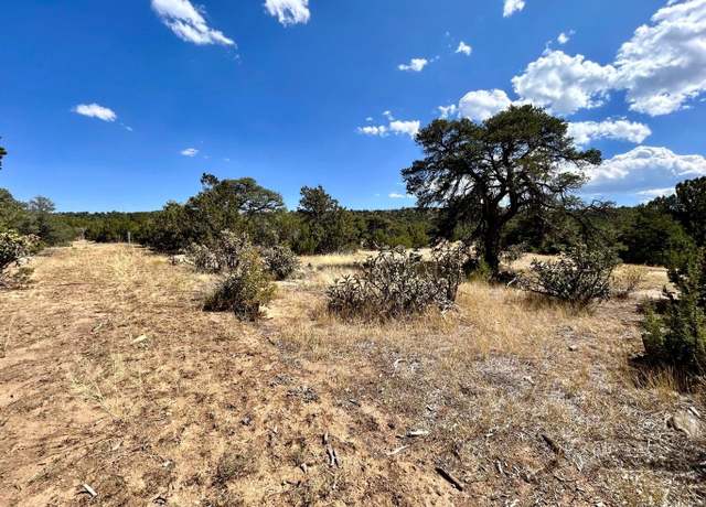 Property at Lot 919 Los Vaqueros Cir, Walsenburg, CO 81089