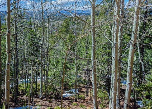 Property at 336 Witherite Dr, Divide, CO 80814