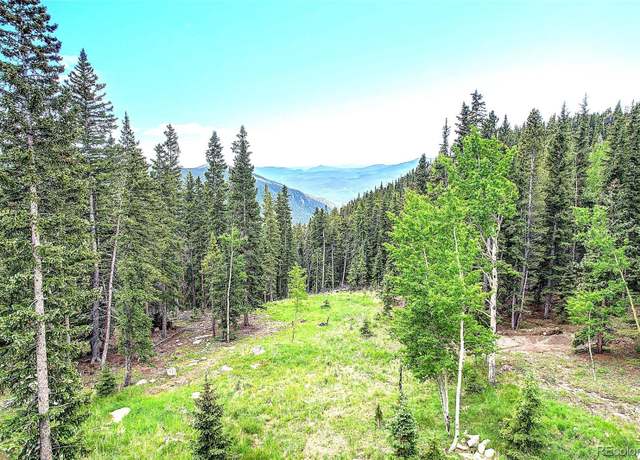 Property at 1176 Raven Ridge Rd, Idaho Springs, CO 80452, 4 beds, 3 baths