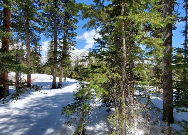 Property at 107 Hamilton Ln, Breckenridge, CO 80424