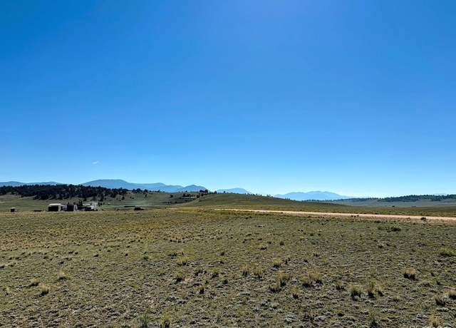Property at 247 Commanche Trl, Hartsel, CO 80449
