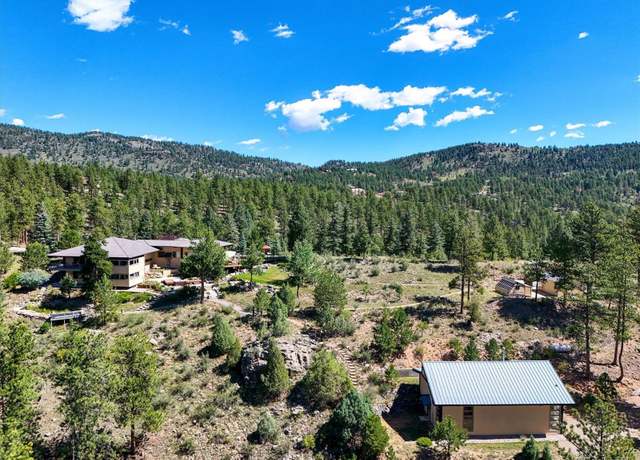 Property at 682 Buddy Rd, Bailey, CO 80421, 3 beds, 5 baths