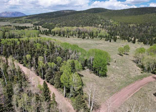 Property at 3107 Henderson Dr, Fort Garland, CO 81133