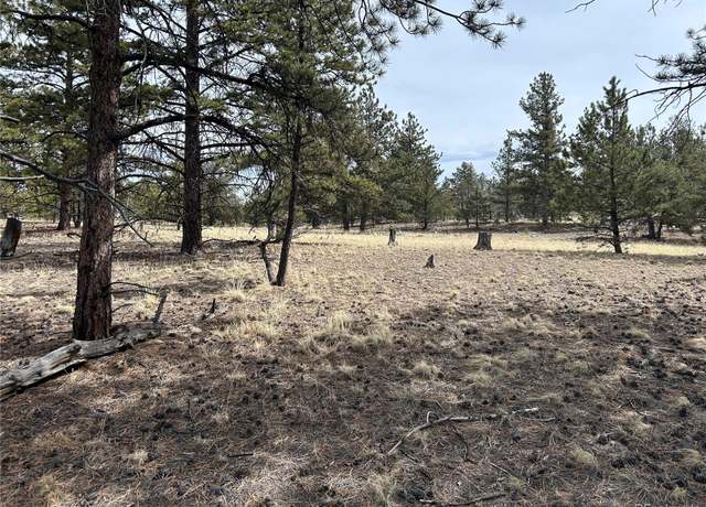 Property at 2146 Wagon Wheel Rd, Hartsel, CO 80449