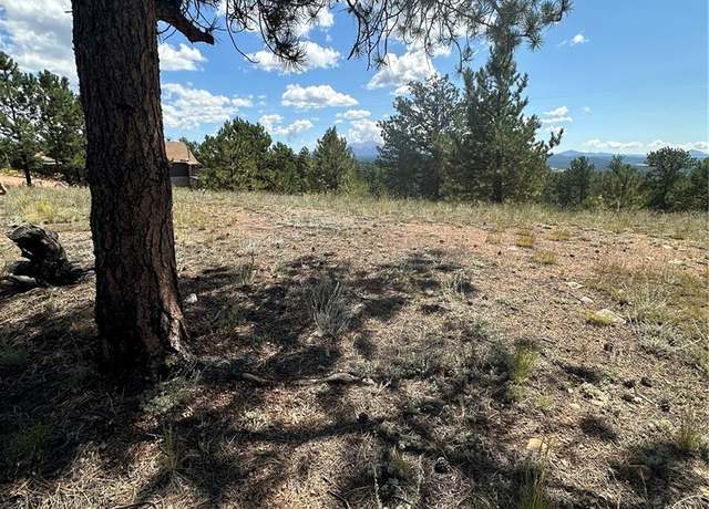 Property at 627 Navajo Trl, Florissant, CO 80816