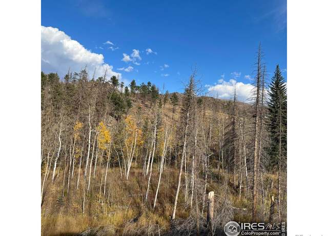 Property at 11 Monument Gulch Way, Bellvue, CO 80512