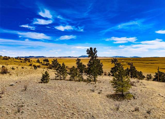 Property at 102 Pack Saddle Ct, Hartsel, CO 80449