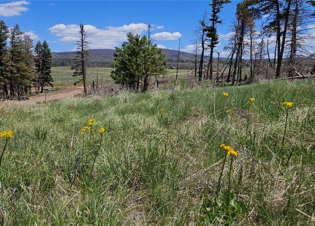 Property at 448 Wagon Mesa Loop, Fort Garland, CO 81133