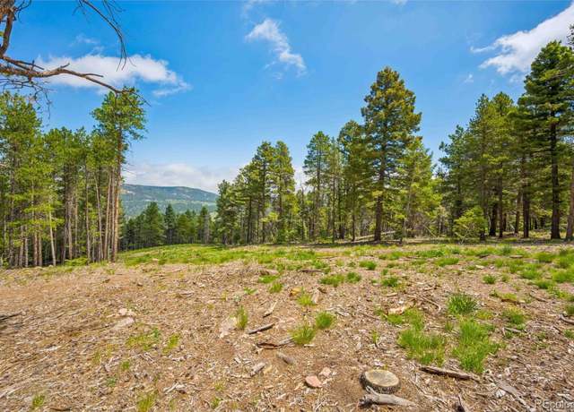 Property at 12329 Powhatan Trl, Conifer, CO 80433