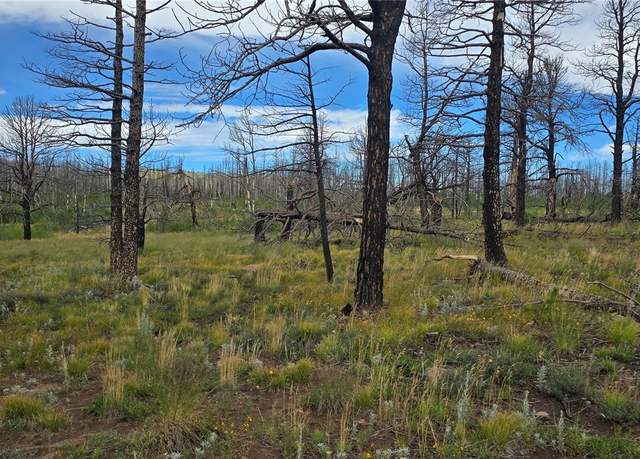 Property at 1683 Emery Loop, Fort Garland, CO 81133