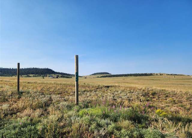 Property at 388/446 Cohonina Rd, Hartsel, CO 80449