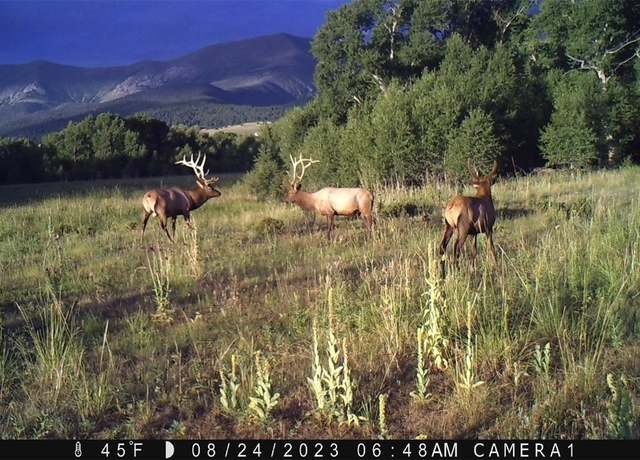 Property at 3870 County Road 125, Westcliffe, CO 81252