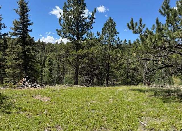 Property at 209 Kenosha Cir, Divide, CO 80814