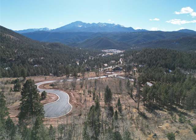 Property at 18 Blue Haven Pl, Woodland Park, CO 80863