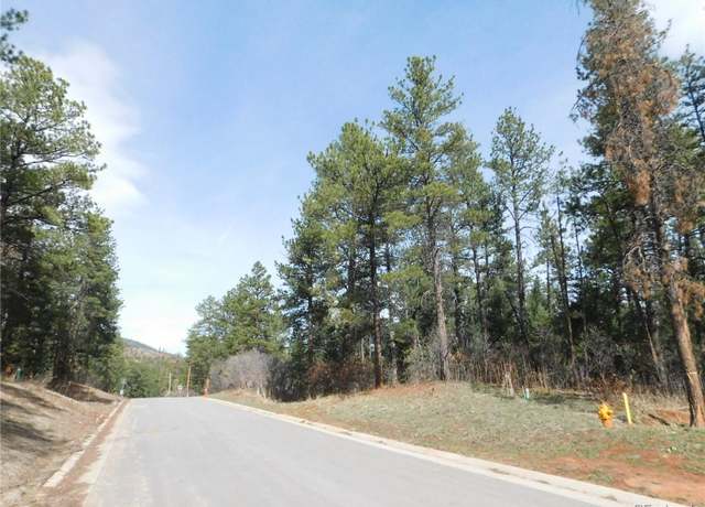 Property at 8118 Bannock Dr, Larkspur, CO 80118