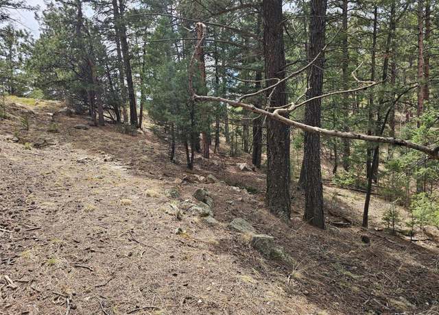 Property at 360 Hi Meadow Dr, Bailey, CO 80421