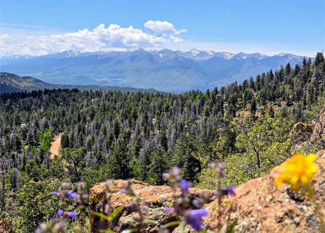 Property at 53 Trail Dr, Cotopaxi, CO 81223