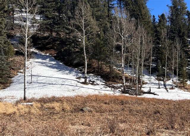 Property at 506 Arrowhead Rd, Florissant, CO 80816