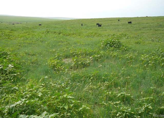 Property at Rural, Deer Trail, CO 80105