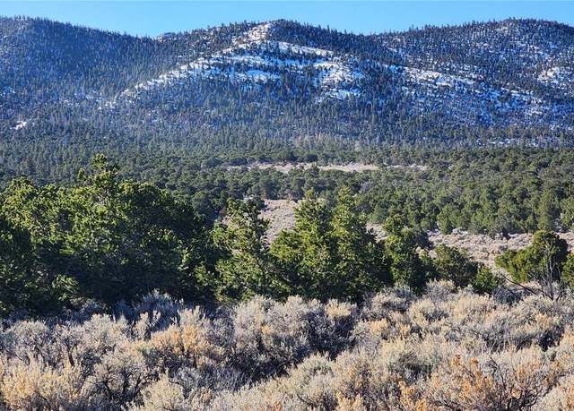 Property at 1969 Yablon Rd, Fort Garland, CO 81133